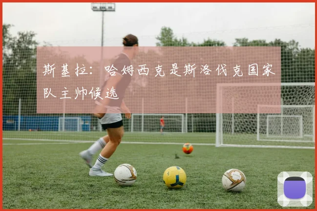 斯基拉：哈姆西克是斯洛伐克国家队主帅候选