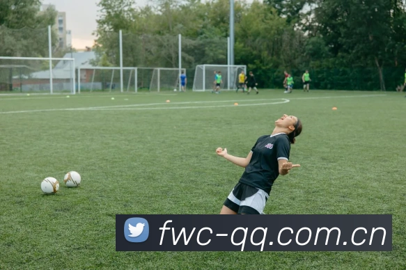 世界杯买球网站平台生态图